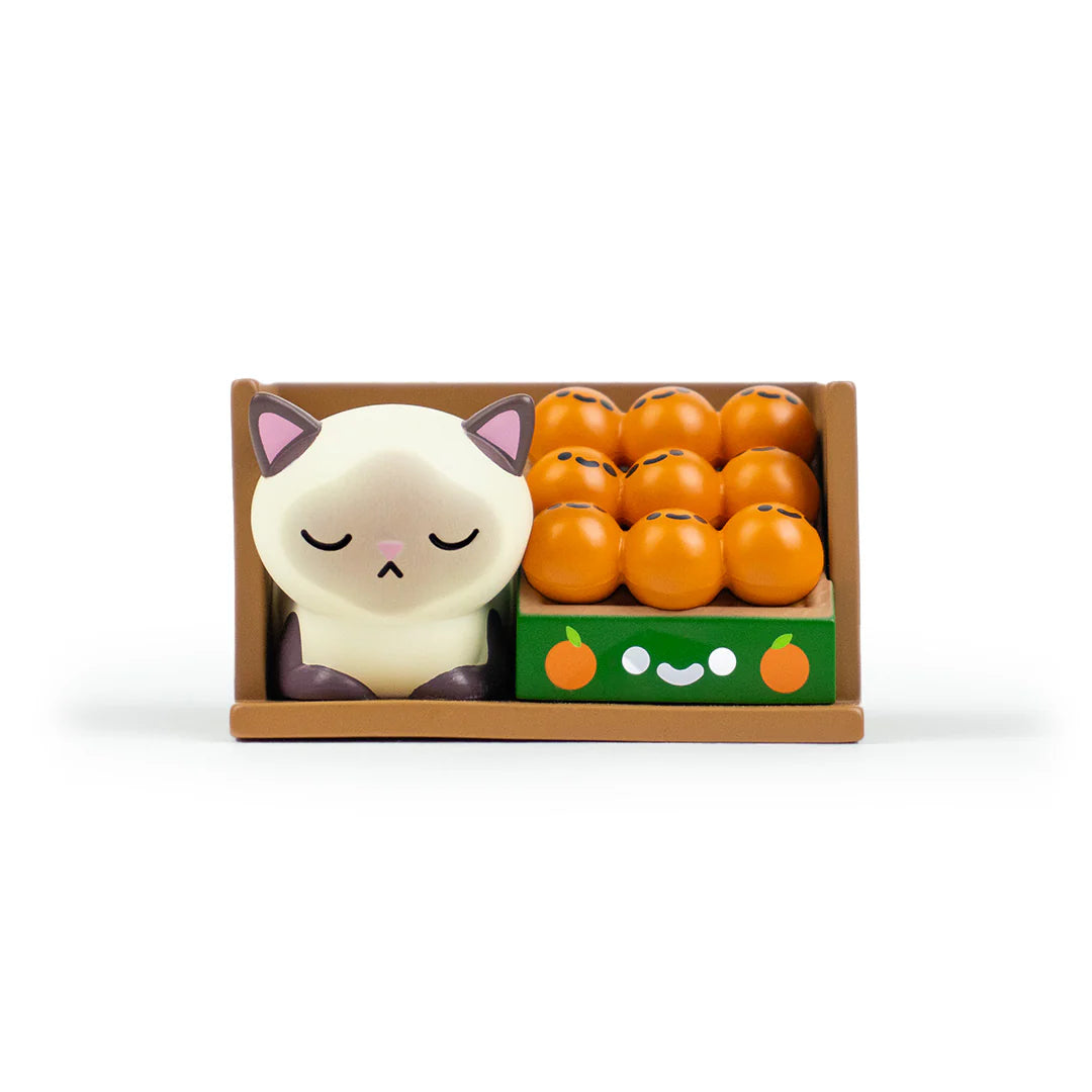 100% Bodega Kitties Mystery Box - Series 1
